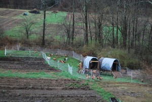 Trusted Roots Farm