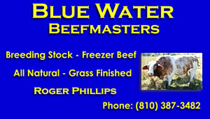 Bluewater Beefmasters