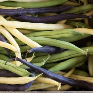 Farmers Fresh CSA