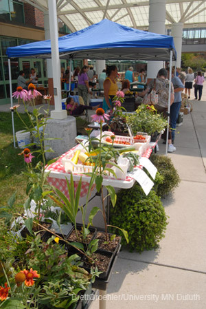 UMD Market Day in the Plaza: LSSFA Farmers Market. Art Bazaar. Live Music.