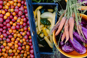 Off Beet Farm