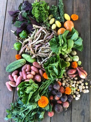 Fresh Meadow Farm