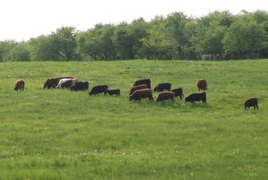 Hagar Hill Farm