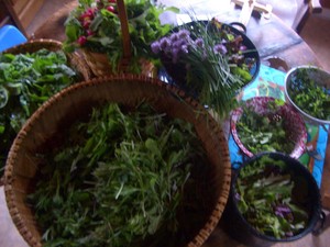 Sunrise Hill Organic Farm
