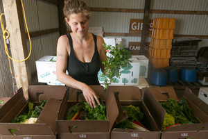 Blackbrook Farm