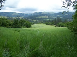 Kamiah Permaculture