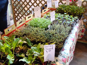 Riverside Marketplace