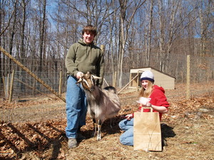 Creekwater Farm
