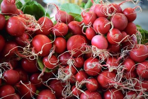 Cooperstown Farmers' Market