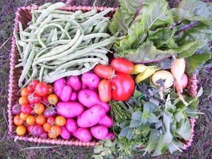 Wintergreen Farm