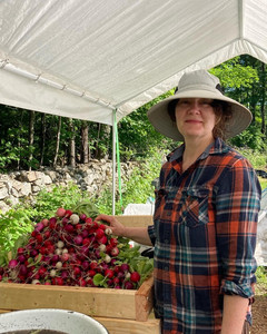 Mon Soleil Market Garden