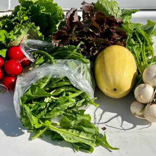 Central Texas Farmers Co-op