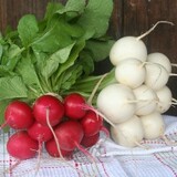 Plowshare Produce