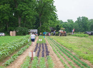 Fernbrook Farms CSA