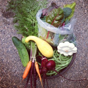 Dirty Girl CSA