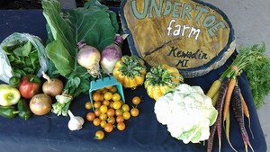 Undertoe Farm