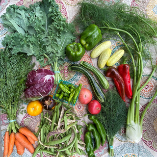 Denver Botanic Gardens Chatfield Farms CSA