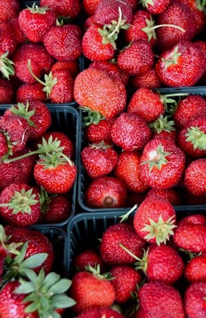 Fenelon Falls Farmers' Market