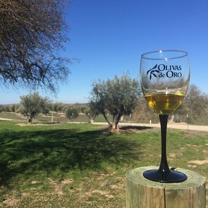 Olivas de Oro Olive Company