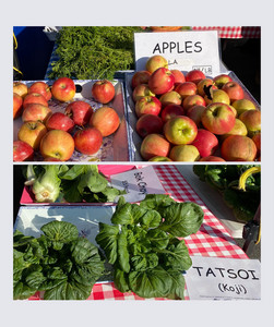 Down to Earth Park Slope Farmers Market