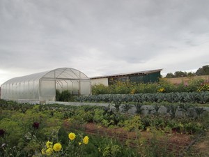 Southwest Farm Fresh Cooperative
