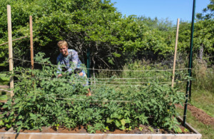 Ocean To Earth Gardens LLC