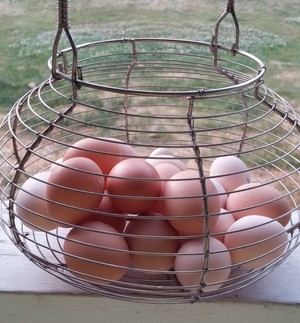 Organics Farm