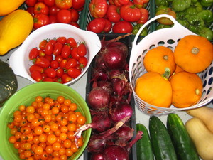 Eilert's Acres-CSA Vegetable Farm
