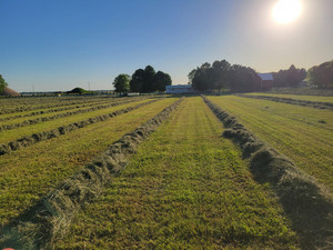 Prairie Trail Farm
