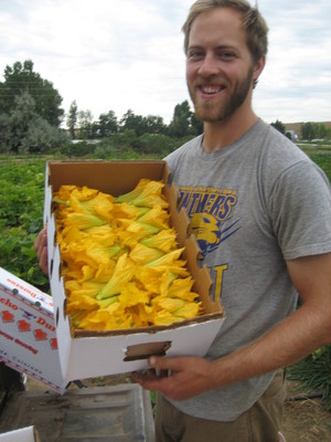 Cure Organic Farm