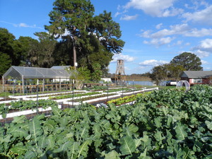 Empower School & Farm