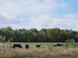 Prairie Trail Farm