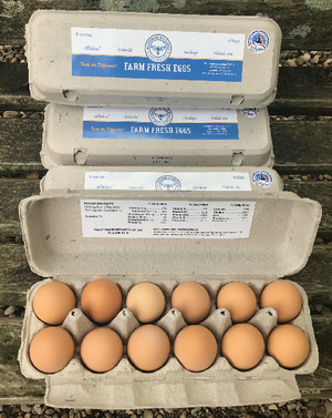 Bluegrass Blessings Farms