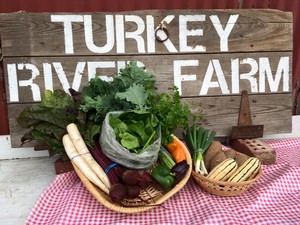 Turkey River Farm