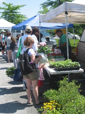 New! Owings Mills Farmers' Market