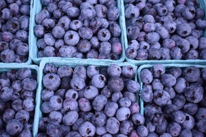Cooperstown Farmers' Market