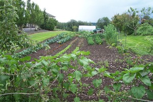 Almond Produce Farm