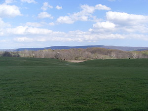 Briarmead