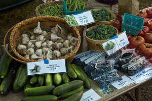 Great Lakes Garlic