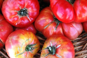 Bonsall Certified Farmers Market