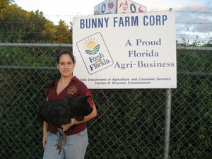 Bunny Farm Corp