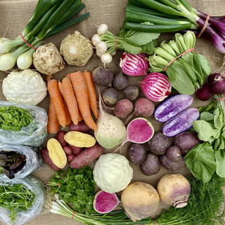 Harvest Tide Organics