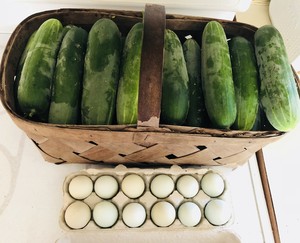 Urban Folk Farm