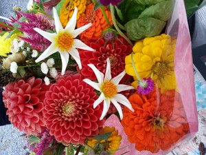 Sarah's Petals