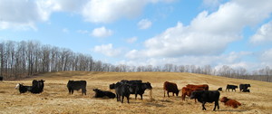 Kinderhook Farm
