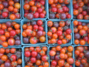 Full Circus Farm