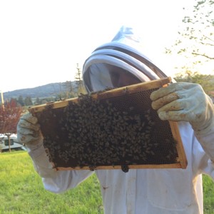 Dolce Farm and Orchards