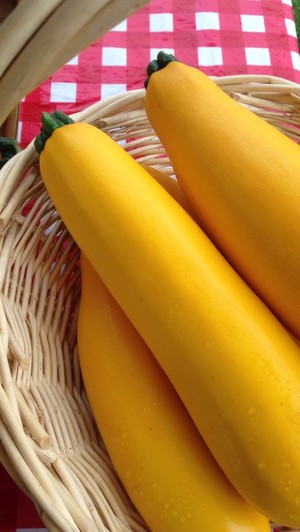 Dillsburg Farmers' Market
