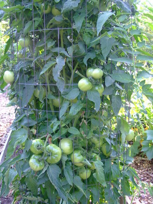 Quail Hollow Farm