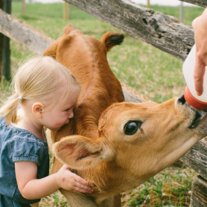 Fair Share Farms